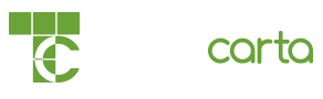 Tecnocarta Logo